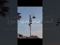 ما أجمل أن تكون سبب ا في أن تعود الأجنحة للطيران 