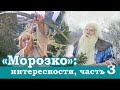 "Морозко": глупые боги, серьёзная жизнь и... немного о счастье