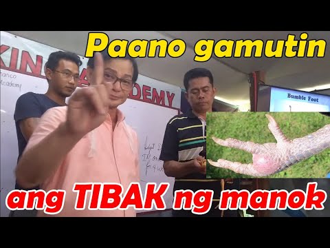 Video: Paano Gamutin Ang Senestopathy