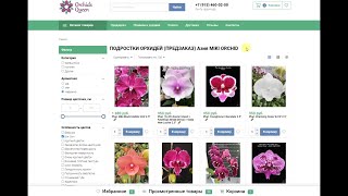 🌸 ПРОДАЖА ОРХИДЕЙ. Орхидеи - ПОДРОСТКИ - БИГ ЛИПЫ. Обзор сортов для Предзаказа 2023. Купить орхидею.