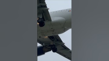 A318 !! Tarom Misty Morning Arrivals at Heathrow 4K #Shorts