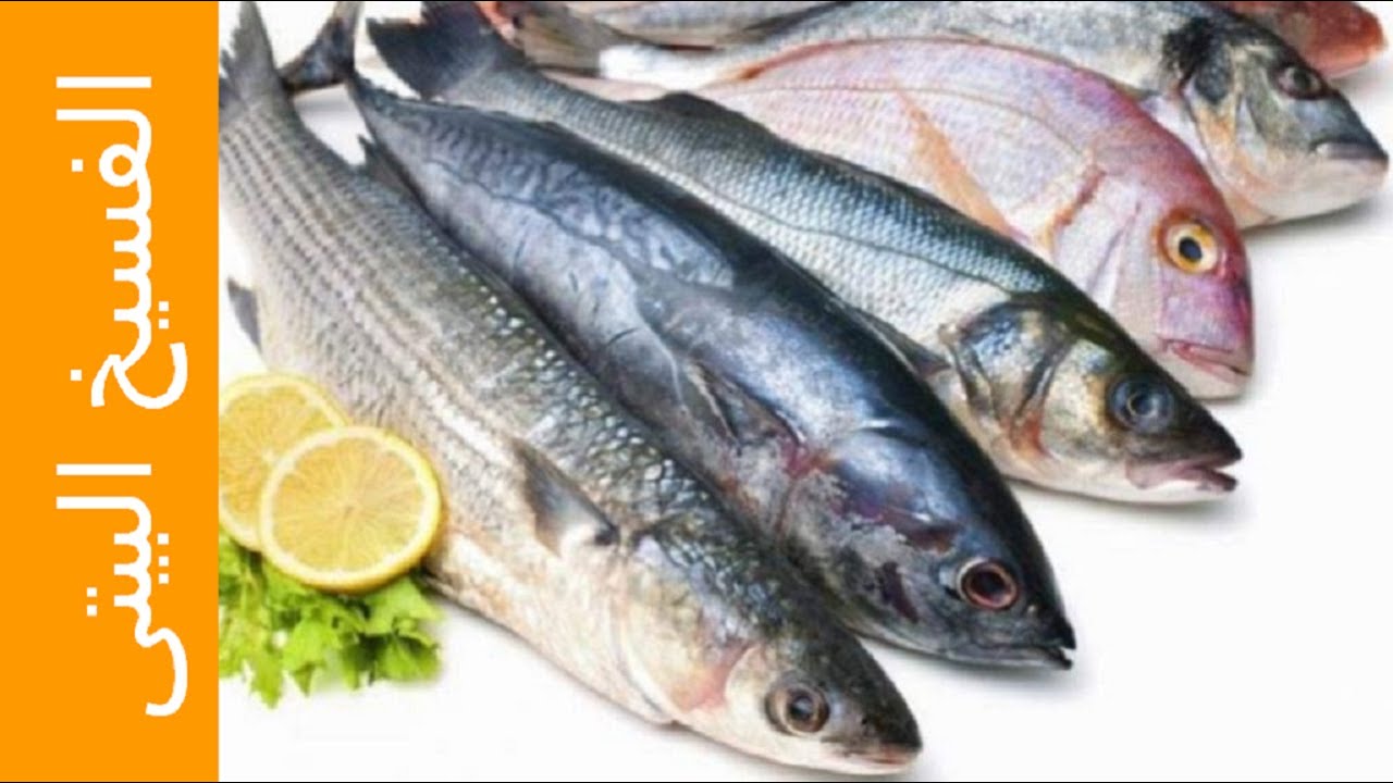 اعداد الفسيخ البيتى بطريقة نظيفة و مضمونة ... Salty Fish من وصفات علا الحاج