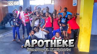 Stonebwoy,DJ_Maphorisa_-_Apotheke(Official Dance) Curious cousins