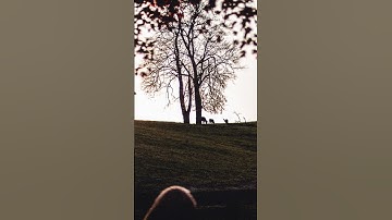 Back to our regularly scheduled programming. Any Other Way is yours if you want it. ❤️🌳🇺🇸 ⁠