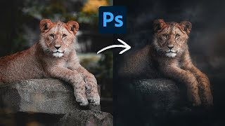 How to TRANSFORM Your Photos in Dark & Moody Fine Art (Photoshop)