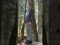 Part3 of the fort #buildingconstruction #diy #forest