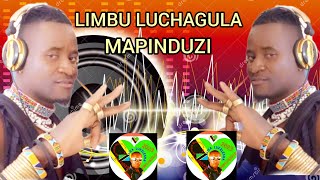 LIMBU LUCHAGULA UJUMBE WA LUFUNGA MAPINDUZI MBASHA STUDIO AUDIO OFFICIR 2023