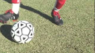 Rollover Stop YDP