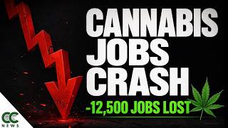 📉 Cannabis Industry Jobs Fall for the First Time in History