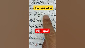 تعلم قواعد تجويد القرآن الكريم برواية ورش عن نافع (كيفية قراءة الكلمة أَإِلَاهٌ مع الله) #القرآن