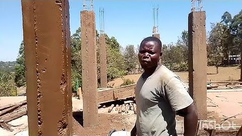 remove tree at villa rendimer@iammayuguno5148 