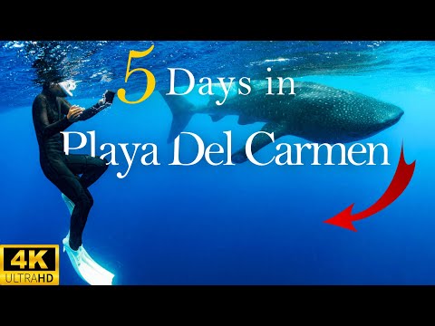 How to Spend 5 Days in PLAYA DEL CARMEN Mexico | ❌DO NOT BOOK ❌ Watch This Before Traveling!