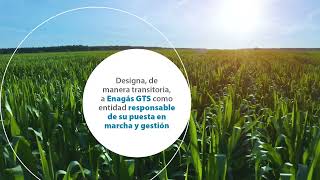 Enagás Gts, Entidad Responsable Del Sistema De Garantías De Origen Para Gases Renovables Enagás