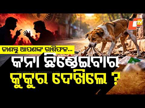 କୁକୁରର କେଉଁ ଲକ୍ଷଣ ଦେଖିଲେ କ'ଣ ହୁଏ ? #astrology #astro #trending #tips #otvdigital