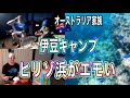 憧れの伊豆半島。秘境感が堪らないヒリゾ浜でシュノーケルがサイコー過ぎた。