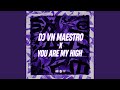 Dj Vn Maestro X You Are My High