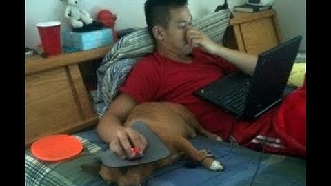 Функция Round в Python