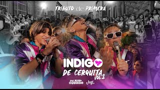 INDIGO DE CERQUITA VOL. 2 "TRIBUTO DE PRIMERA"