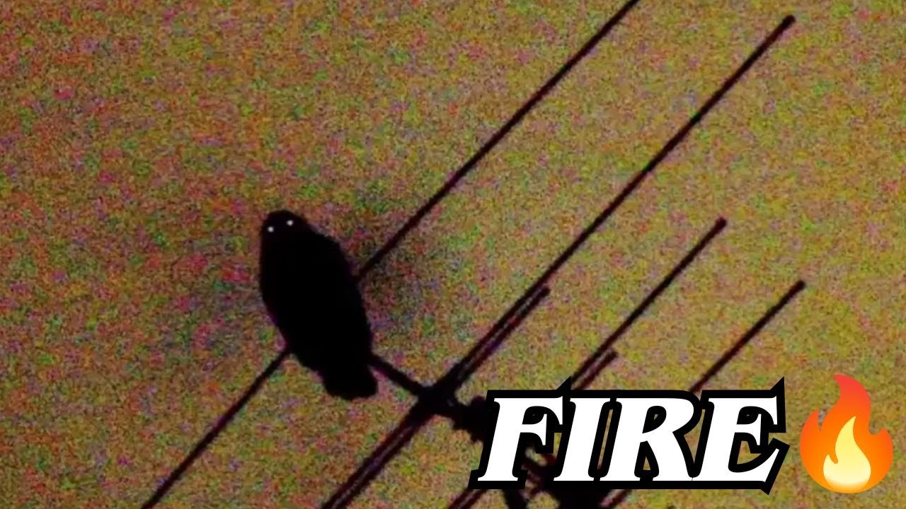 WHO LEAKED IT?! Drake - TOWERS FT. Pressa (ICEMAN LEAK) Reaction/Review