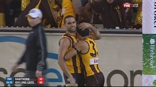 AFL 2013: 1st Preliminary Final - Hawthorn highlights vs. Geelong (HD Version)