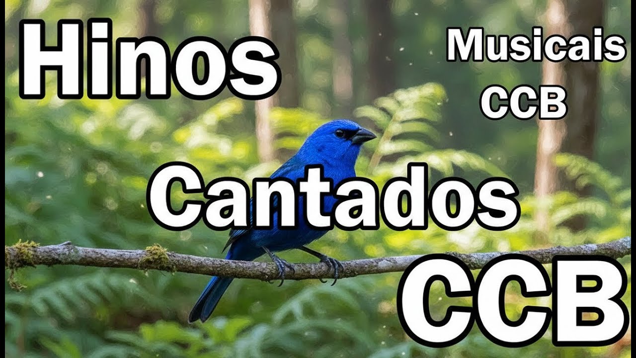 HINOS CCB CANTADOS -  Musicais CCB - Melhores Hinos Cantados  CCB 26/01/2026
