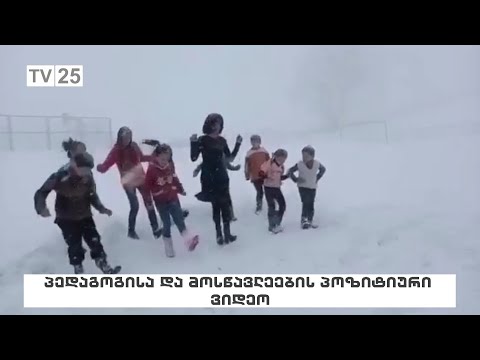 პედაგოგისა და მოსწავლეების პოზიტიური ვიდეო