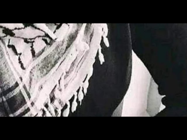 المبادرات الشخصية لمساعدة الاهل في فلسطين