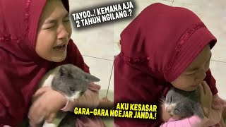 SEISI RUMAH DIBUAT MENANGIS.! Setelah 2 Tahun Hilang, Kucing Tayo Kembali Dalam Keadaan Skit & Lusuh