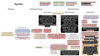 Syphilis (mechanism of disease)