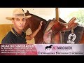 #2 DICAS DO MARCHADOR - RODRIGO DIAS - COMO ARRIAR O CAVALO - MANGALARGA MARCHADOR