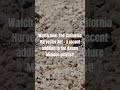 ☝️"The California Harvester Ant Nature Minidoc" video out now!