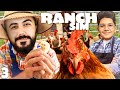 TAVUK KÜMESİNİ BÜYÜTTÜK!! YENİ RANCH SIMULATOR (Bölüm #3) | Barış Can