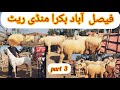 Faisalabad Bakra Mandi Visit Rate updat Part 3 @KSF  Entertainment tv