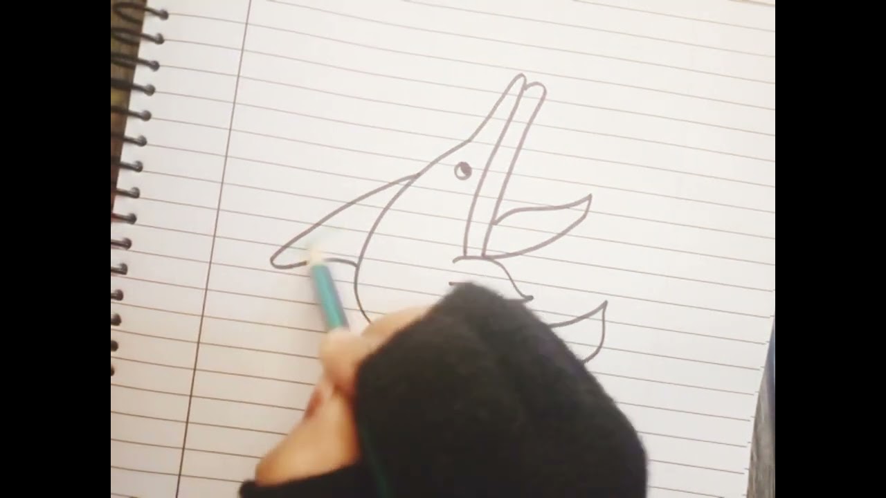 How to draw a dolphin fish for beginners|| Easy dolphin drawing step by step|| Dolphin drawing 