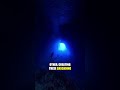 Deep Sea Fish Create Light Shadows of Unknown Monsters