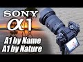 Sony a1  a1 by name a1 by nature  my review