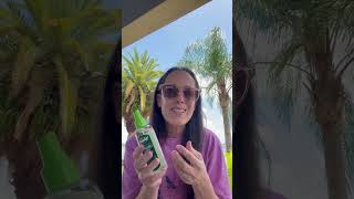 Must try - This smells AMAZING and Actually Works! #mosquitocontrol #mosquitospray #eucalyptus