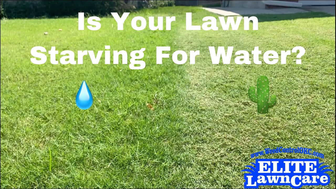 How do I know if my lawn needs water?