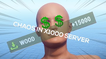 I played on a x1000 rust server
