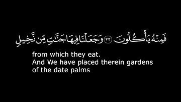 كروما شاشه سوداء القرآن الكريم ✨| تلاوة من سورة يٰسٓ (كاملة) | قاري عمرمحجوب✨
