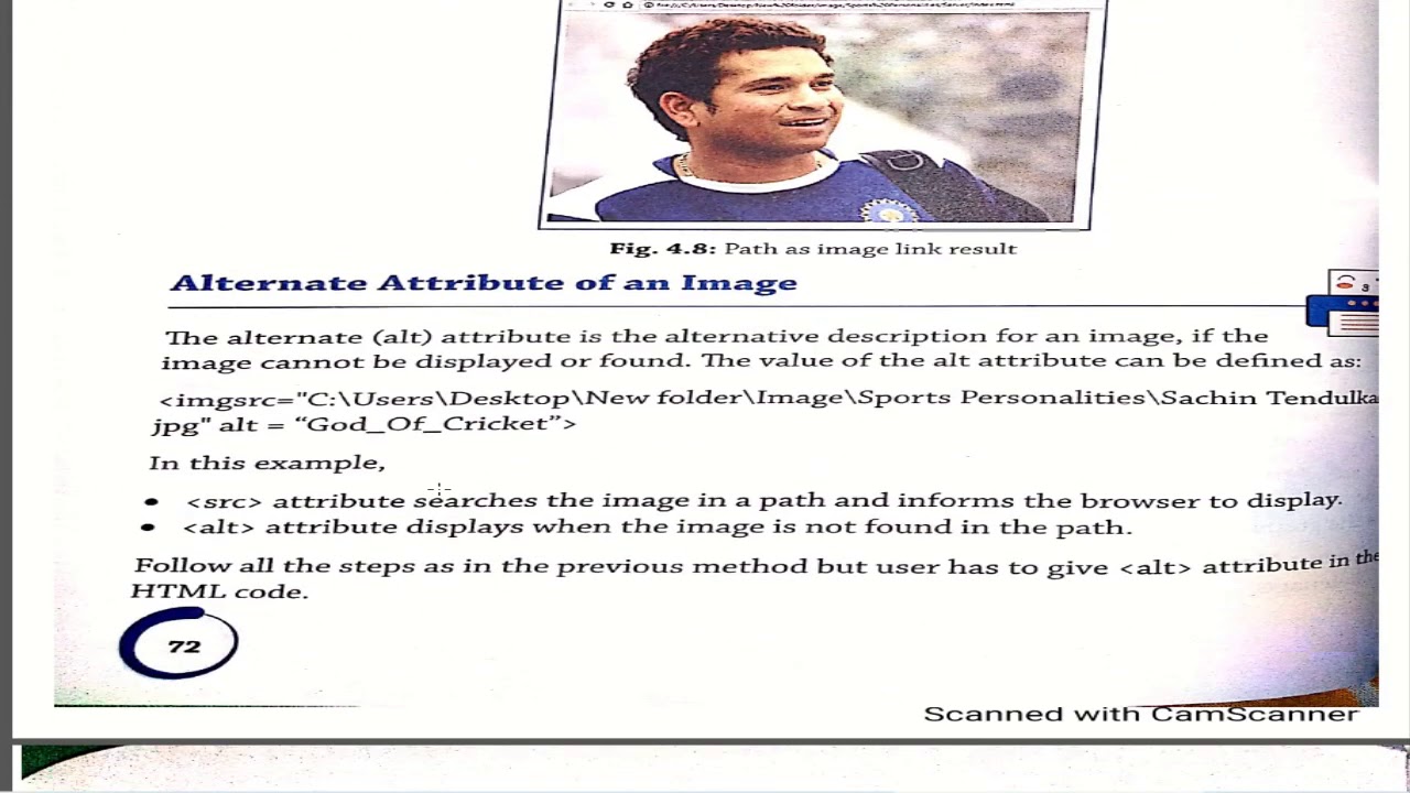 Working With Images In HTML Class 8 YouTube
