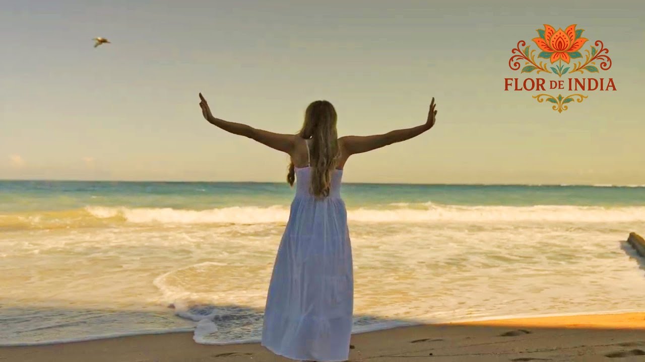 Stay at Flor de India. Experience the Best of San Juan.