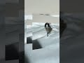 🖤 14mm 바로크 흑진주의 압도적 존재감84개의 다이아몬드가 그리는 왕관의 자태#클로체쥬얼리 #흑진주 #주얼리 #용산명품 #진주주얼리 #빈티지주얼리 #명품반지 #쥬얼리