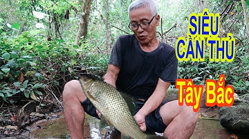 Siêu cần thủ Tây Bắc bật mí bí quyết câu cá suối Tây Bắc