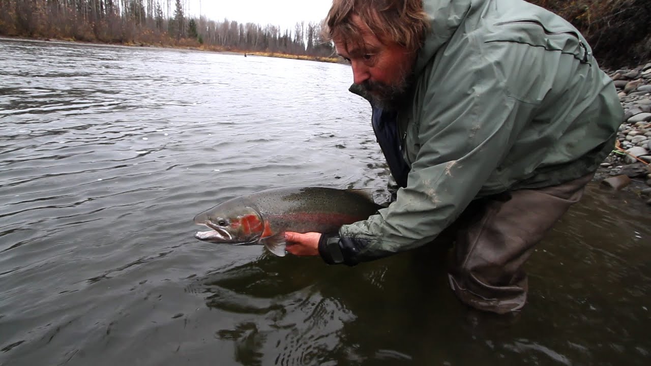 A Steelhead Family, FULL movie. Bob Clay
