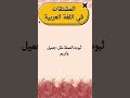 المشتقات في اللغة العربية المشتقات اللغة العربية اسم الفاعل اسم المفعول النحو