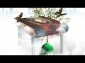 مراجعة كتاب أركان المنهج النبوي