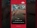 20 نوع حلوى بـ150 جنيه... المولد النبوي في كفر الشيخ بأسعار زمان