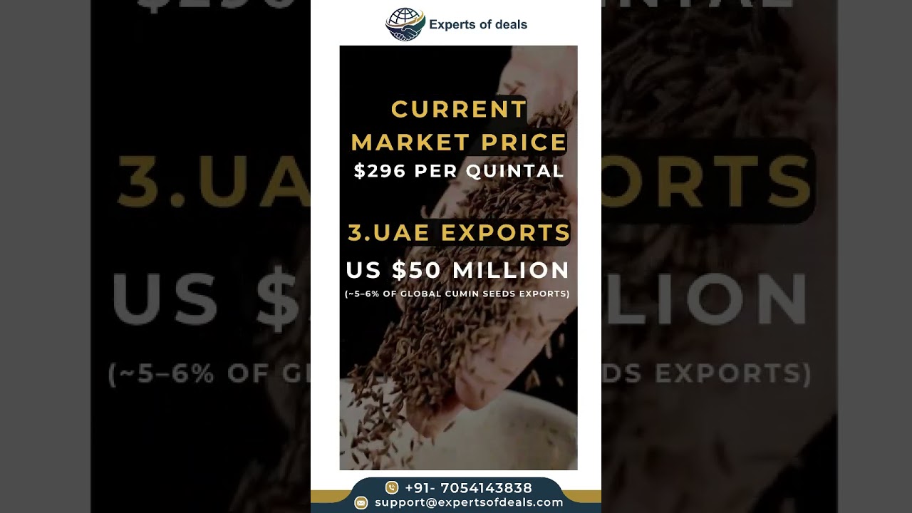 Cumin Seeds (Jeera buyers) Buyers and market