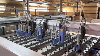 HOLZMA (HOMAG Group) HPL 380 / 43 / 22 / L / NEW